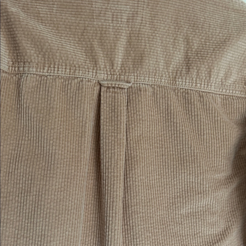 American Eagle Corduroy Shirt in Camel Tan - Picture 7 of 8